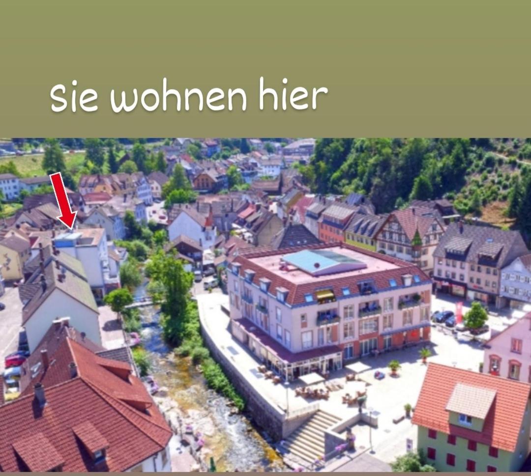 Ferienwohnung Ida Hornberg Zewnętrze zdjęcie